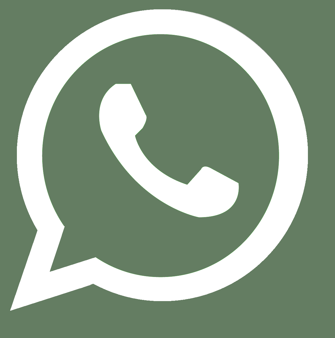 whatsapp logo